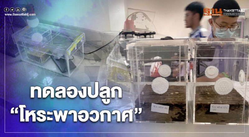 ผุดโครงการ ทดลอง "ปลูกโหระพาอวกาศ" ผุดโครงการ ทดลอง "ปลูกโหระพาอวกาศ"