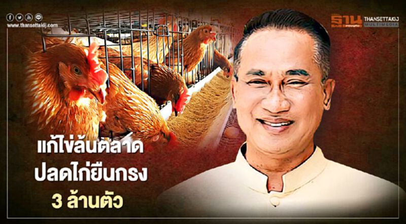 แก้ไข่ล้นตลาด ปลดไก่ยืนกรง 3 ล้านตัว แก้ไข่ล้นตลาด ปลดไก่ยืนกรง 3 ล้านตัว