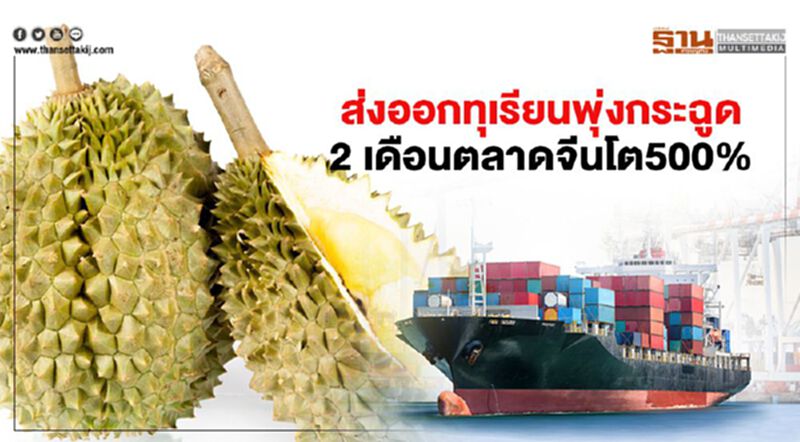 ส่งออกทุเรียนพุ่งกระฉูด 2 เดือนตลาดจีนโต500% ส่งออกทุเรียนพุ่งกระฉูด 2 เดือนตลาดจีนโต500%