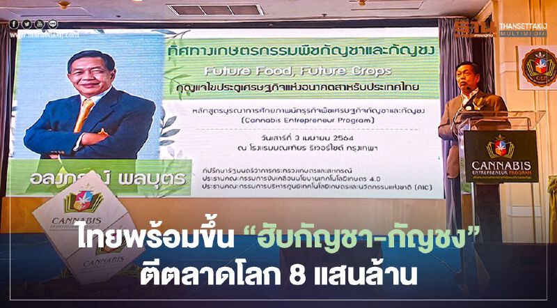 ไทยพร้อมขึ้น “ฮับกัญชา-กัญชง” ตีตลาดโลก 8 แสนล้าน 