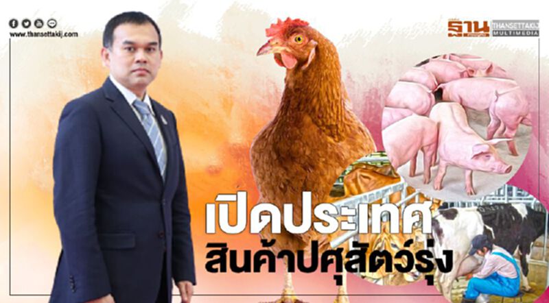 เกษตรกร ฟัน 4 แสนล้าน เปิดประเทศ สินค้าปศุสัตว์รุ่ง เกษตรกร ฟัน 4 แสนล้าน เปิดประเทศ สินค้าปศุสัตว์รุ่ง