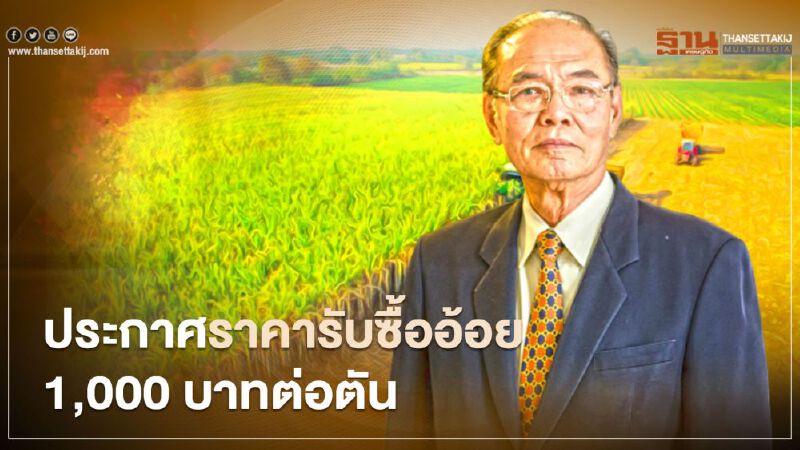 โรงงานน้ำตาลประกาศราคารับซื้ออ้อย 1,000 บาทต่อตันกระตุ้นเกษตรกรปลูกมากขึ้น