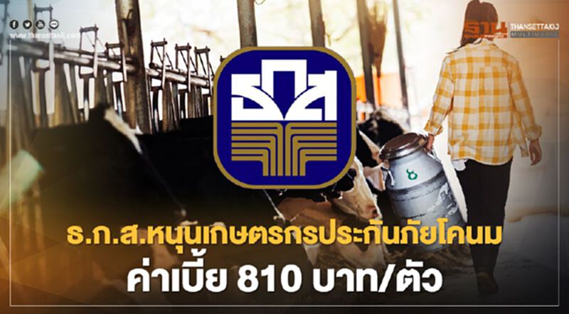 ธ.ก.ส.หนุนเกษตรกรประกันภัยโคนม ค่าเบี้ย 810 บาท/ตัว ธ.ก.ส.หนุนเกษตรกรประกันภัยโคนม ค่าเบี้ย 810 บาท/ตัว