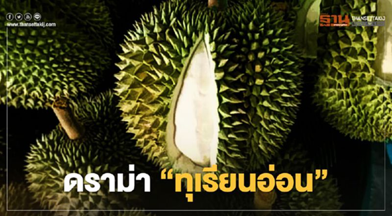 ดราม่า “ทุเรียนอ่อน” ดราม่า “ทุเรียนอ่อน”