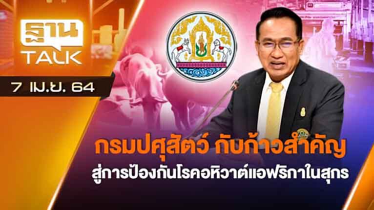 กรมปศุสัตว์ กับการป้องกันโรคอหิวาต์แอฟริกาในสุกร | EXCLUSIVE IN BRIEF | THAN TALK | 7 เม.ย.64 กรมปศุสัตว์ กับการป้องกันโรคอหิวาต์แอฟริกาในสุกร | EXCLUSIVE IN BRIEF | THAN TALK | 7 เม.ย.64
