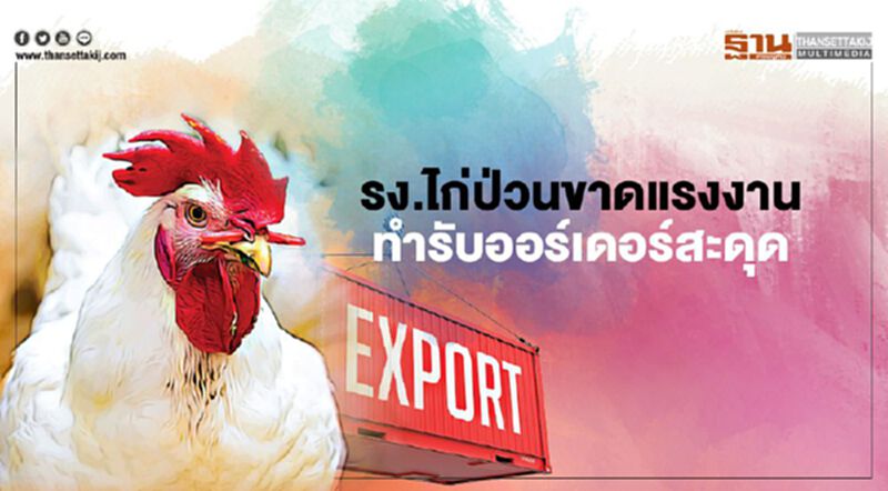 รง.ไก่ป่วนขาดแรงงานกว่าหมื่นคน ทำรับออร์เดอร์สะดุด-จี้รัฐปลดล็อก รง.ไก่ป่วนขาดแรงงานกว่าหมื่นคน ทำรับออร์เดอร์สะดุด-จี้รัฐปลดล็อก