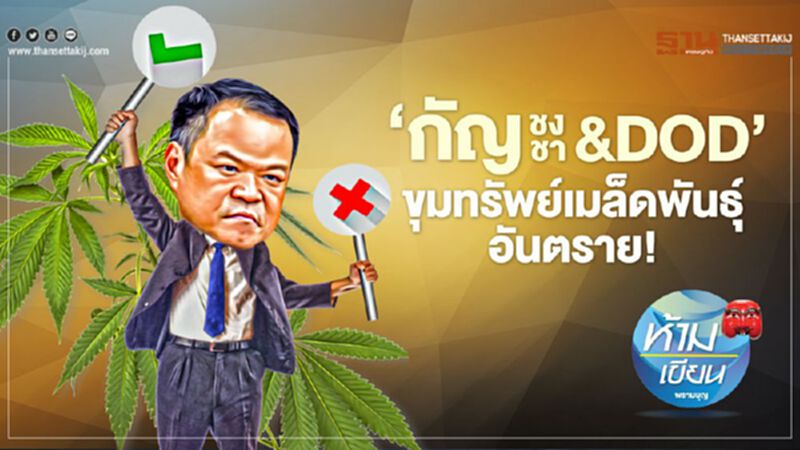 ‘กัญชง กัญชา & DOD’ ขุมทรัพย์เมล็ดพันธุ์ อันตราย! ‘กัญชง กัญชา & DOD’ ขุมทรัพย์เมล็ดพันธุ์ อันตราย!