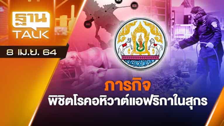 ภารกิจ พิชิตโรคอหิวาต์แอฟริกาในสุกร | EXCLUSIVE IN BRIEF | THAN TALK | 8 เม.ย.64 ภารกิจ พิชิตโรคอหิวาต์แอฟริกาในสุกร | EXCLUSIVE IN BRIEF | THAN TALK | 8 เม.ย.64