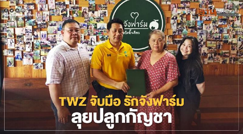 TWZ จับมือ รักจังฟาร์ม ลุยปลูกกัญชา TWZ จับมือ รักจังฟาร์ม ลุยปลูกกัญชา