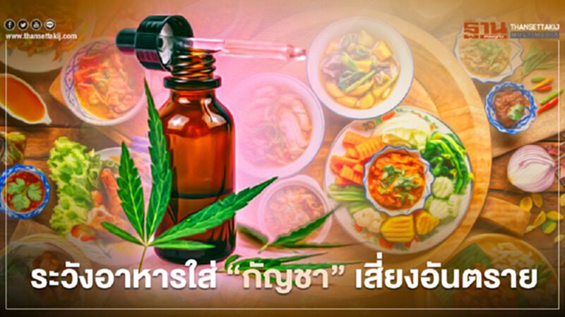 สสส.เตือน อาหารใส่ “กัญชา” เสี่ยงอันตราย สสส.เตือน อาหารใส่ “กัญชา” เสี่ยงอันตราย