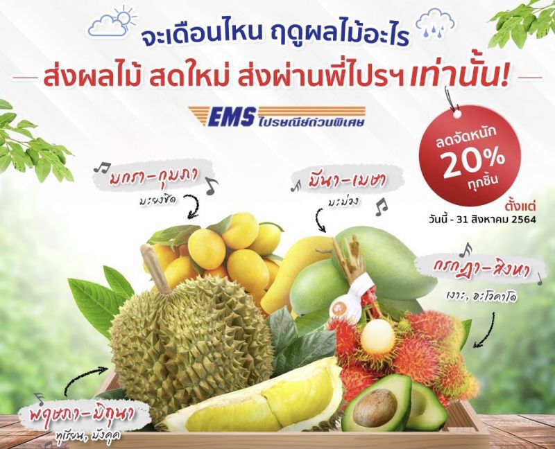 ส่งผลไม้ ผ่านโปรฯ