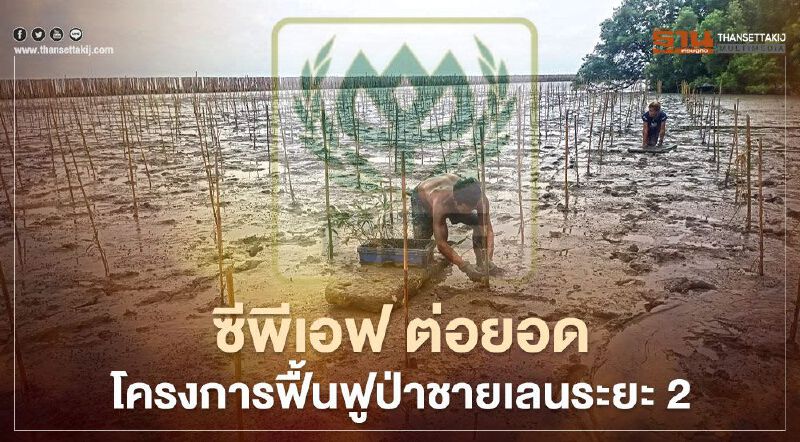 ซีพีเอฟ ต่อยอดโครงการฟื้นฟูป่าชายเลนระยะ 2 