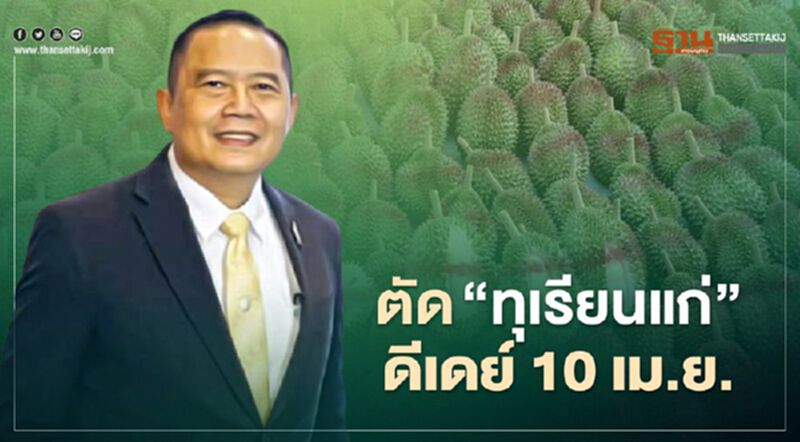 ตัด “ทุเรียนแก่” ดีเดย์ 10 เม.ย. ตัด “ทุเรียนแก่” ดีเดย์ 10 เม.ย.