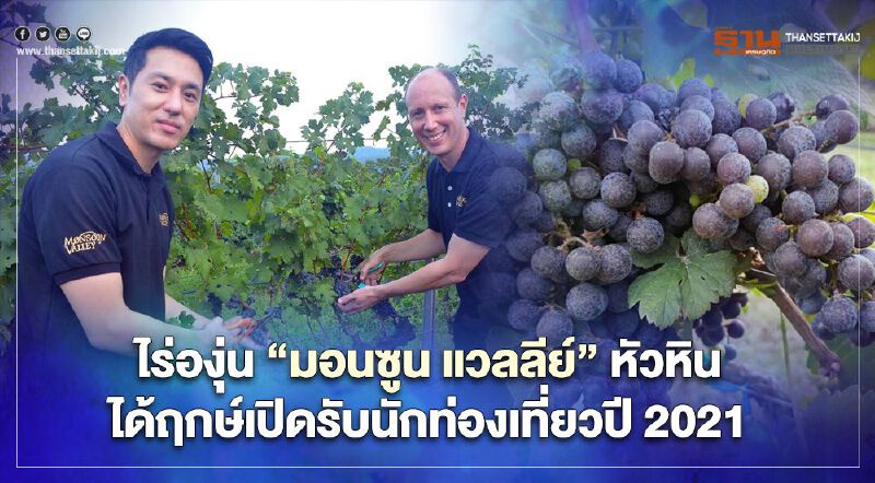 ไร่องุ่น มอนซูน แวลลีย์ “หัวหิน” ได้ฤกษ์เปิดรับนักท่องเที่ยวปี2021