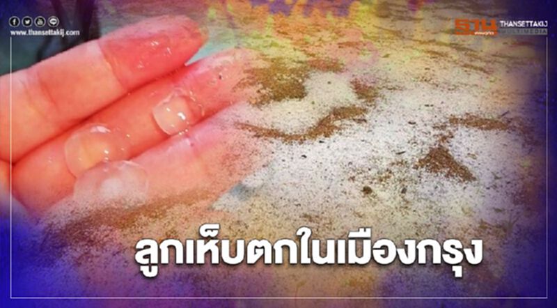 ฮือฮา"ลูกเห็บตก"ในเมืองกรุง ฮือฮา"ลูกเห็บตก"ในเมืองกรุง