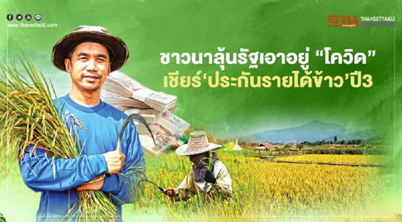 ชาวนาลุ้นรัฐเอาอยู่ “โควิด” เชียร์เดินหน้าต่อ “ประกันรายได้ข้าว”ปี3 ชาวนาลุ้นรัฐเอาอยู่ “โควิด” เชียร์เดินหน้าต่อ “ประกันรายได้ข้าว”ปี3