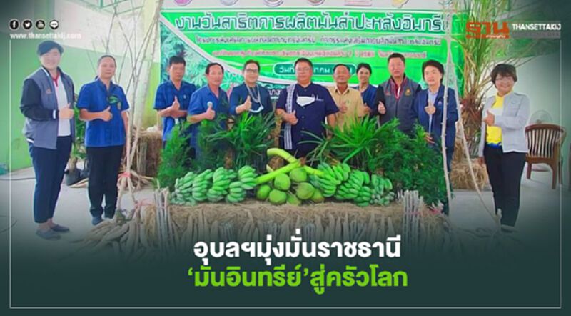 อุบลฯมุ่งมั่นราชธานี ‘มันอินทรีย์’สู่ครัวโลก อุบลฯมุ่งมั่นราชธานี ‘มันอินทรีย์’สู่ครัวโลก