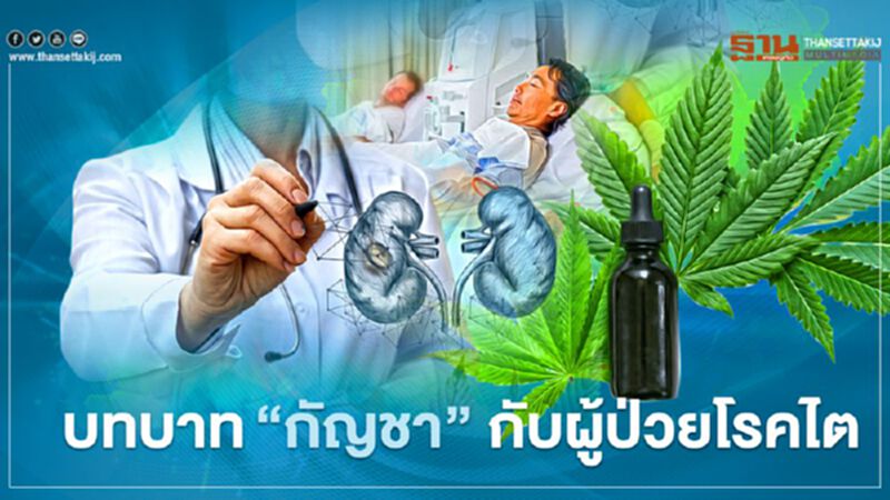 บทบาท“กัญชา” กับผู้ป่วยโรคไต บทบาท“กัญชา” กับผู้ป่วยโรคไต