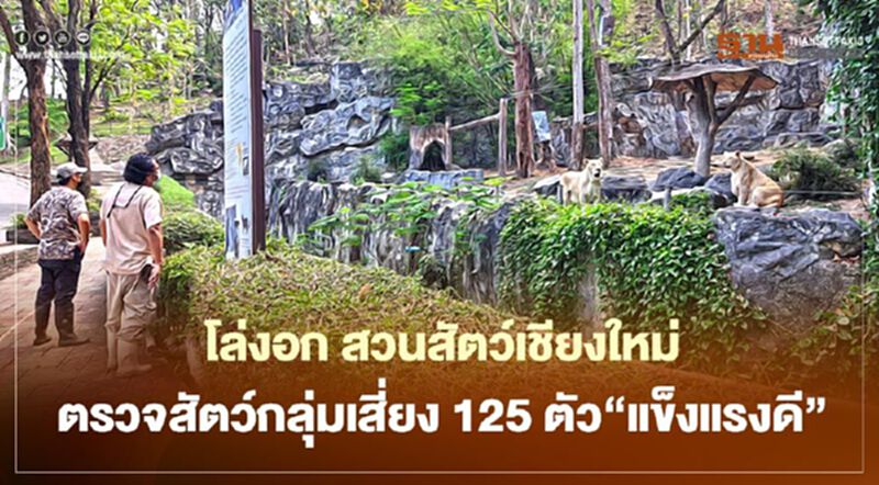 โล่งอก สวนสัตว์เชียงใหม่ตรวจสัตว์กลุ่มเสี่ยง125ตัว"แข็งแรงดี" โล่งอก สวนสัตว์เชียงใหม่ตรวจสัตว์กลุ่มเสี่ยง125ตัว"แข็งแรงดี"
