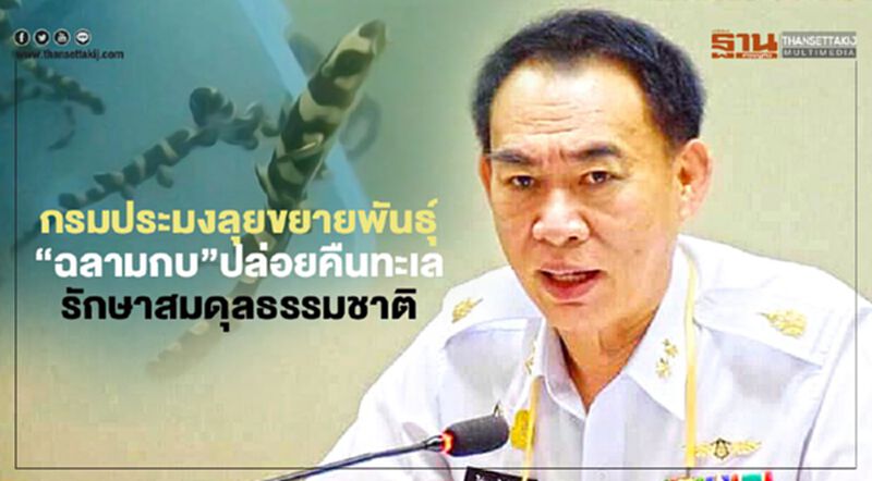 กรมประมงลุยขยายพันธุ์ “ฉลามกบ” ปล่อยคืนทะเลรักษาสมดุลธรรมชาติ กรมประมงลุยขยายพันธุ์ “ฉลามกบ” ปล่อยคืนทะเลรักษาสมดุลธรรมชาติ