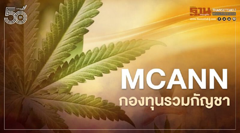บลจ.เอ็มเอฟซี ผุด MCANN กองทุนรวมกัญชาแรกในประเทศ บลจ.เอ็มเอฟซี ผุด MCANN กองทุนรวมกัญชาแรกในประเทศ