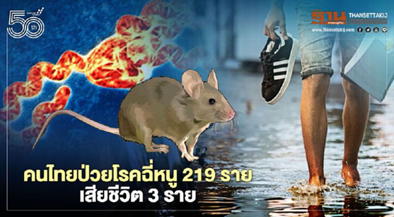 เปิดตัวเลขคนไทยป่วยโรคฉี่หนูแล้ว 219 ราย เสียชีวิต 3 ราย เปิดตัวเลขคนไทยป่วยโรคฉี่หนูแล้ว 219 ราย เสียชีวิต 3 ราย