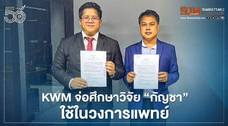 KWM จ่อศึกษาวิจัย “กัญชา” ใช้ในวงการแพทย์