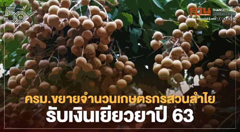 ชาวสวนลำไย เฮ! ครม.ไฟเขียวจ่ายเยียวยาไร่ละ 2,000 บาท 160 ครัวเรือน ชาวสวนลำไย เฮ! ครม.ไฟเขียวจ่ายเยียวยาไร่ละ 2,000 บาท 160 ครัวเรือน