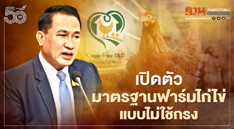 เปิดตัว “มาตรฐานฟาร์มไก่ไข่แบบไม่ใช้กรง” เปิดตัว “มาตรฐานฟาร์มไก่ไข่แบบไม่ใช้กรง”