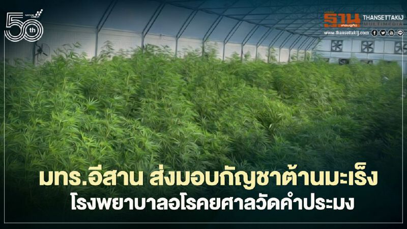 มทร.อีสาน ส่งมอบกัญชาต้านมะเร็งโรงพยาบาลอโรคยศาลวัดคำประมง