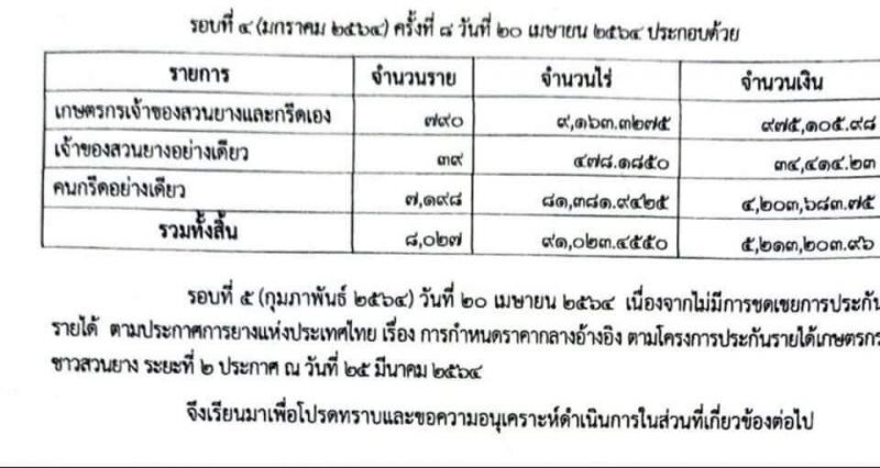 เช้กด่วน ประกันรายได้ยาง