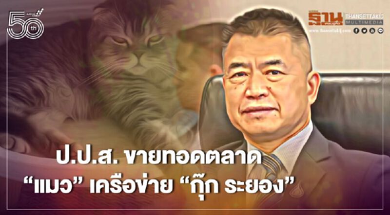ป.ป.ส. เปิดประมูล “แมว” เครือข่าย “กุ๊ก ระยอง” ป.ป.ส. เปิดประมูล “แมว” เครือข่าย “กุ๊ก ระยอง”