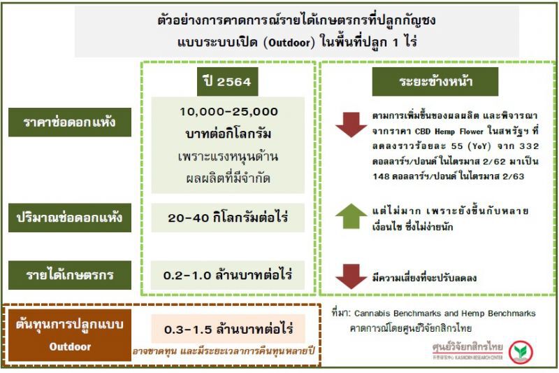 คาดการณ์รายได้เกษตรกรที่ปลูกกัญชง