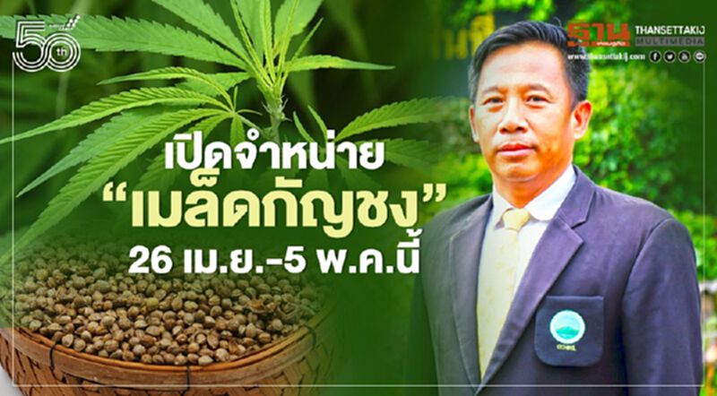 เปิดจำหน่าย “เมล็ดกัญชง” 26 เม.ย.-5 พ.ค.นี้ เปิดจำหน่าย “เมล็ดกัญชง” 26 เม.ย.-5 พ.ค.นี้