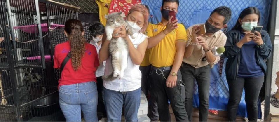 "ชนะงงๆ" ประมูลแมว1แสน"เตรียมสู้ไว้อีก1เท่า"