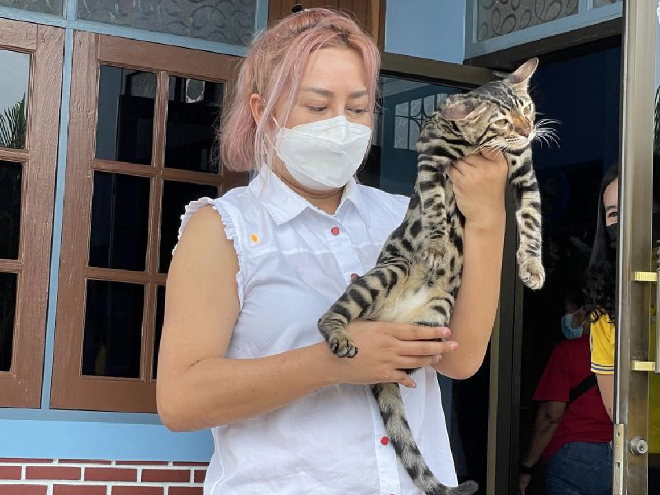 "ชนะงงๆ" ประมูลแมว1แสน"เตรียมสู้ไว้อีก1เท่า"