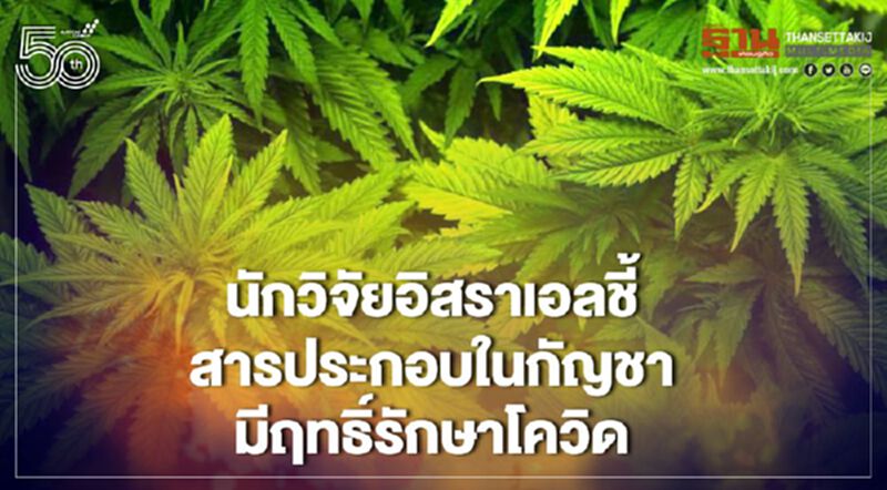 นักวิจัยอิสราเอลชี้สารประกอบในกัญชามีฤทธิ์รักษาโควิด นักวิจัยอิสราเอลชี้สารประกอบในกัญชามีฤทธิ์รักษาโควิด