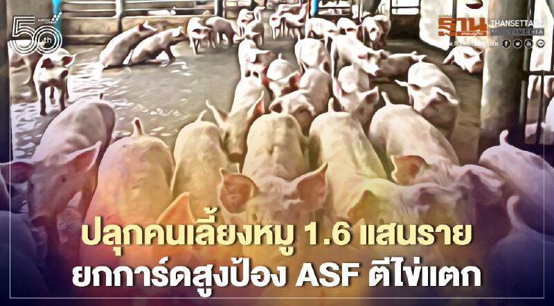 ปลุกคนเลี้ยงหมู 1.6 แสนราย ยกการ์ดสูงป้อง ASF ตีไข่แตก