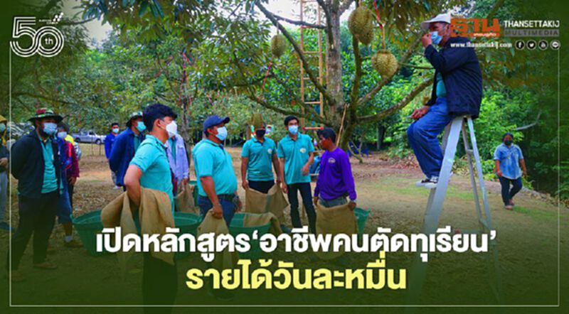 ‘ระยอง’เปิดหลักสูตร‘อาชีพคนตัดทุเรียน’ รายได้วันละหมื่นแก้คนขาด-ตัดทุเรียนอ่อน ‘ระยอง’เปิดหลักสูตร‘อาชีพคนตัดทุเรียน’ รายได้วันละหมื่นแก้คนขาด-ตัดทุเรียนอ่อน