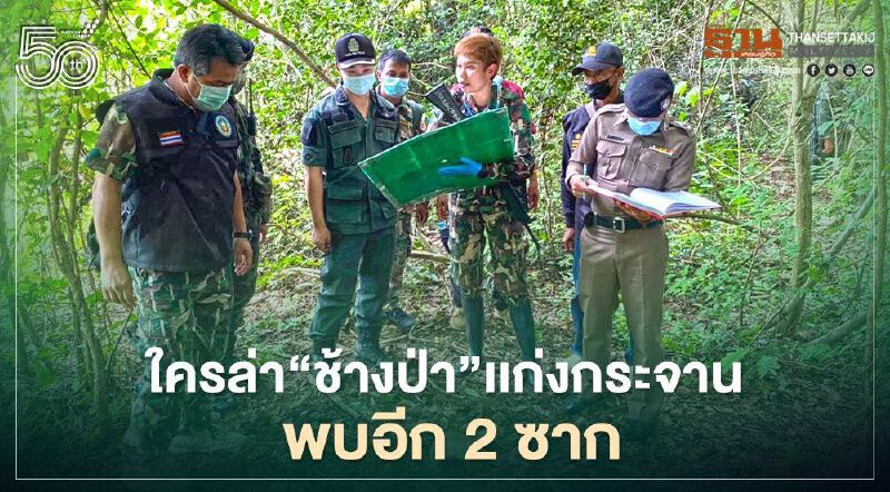 "ชุดพญาเสือ" พบซากช้างป่าแก่งกระจาน 2 ซาก  