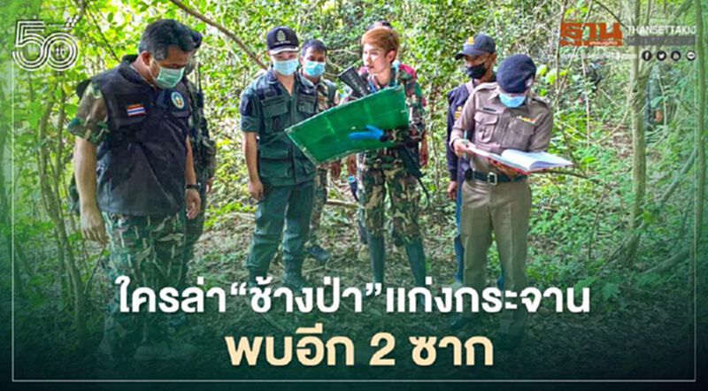 "ชุดพญาเสือ" พบซากช้างป่าแก่งกระจาน 2 ซาก "ชุดพญาเสือ" พบซากช้างป่าแก่งกระจาน 2 ซาก