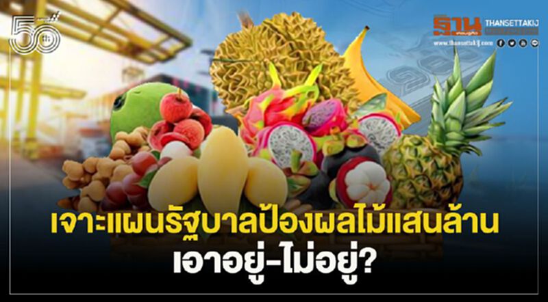 เจาะแผนรัฐบาล ป้องผลไม้แสนล้าน เอาอยู่-ไม่อยู่? เจาะแผนรัฐบาล ป้องผลไม้แสนล้าน เอาอยู่-ไม่อยู่?