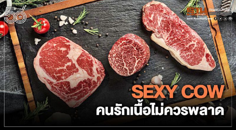 Sexy Cow คนรักเนื้อไม่ควรพลาด Sexy Cow คนรักเนื้อไม่ควรพลาด