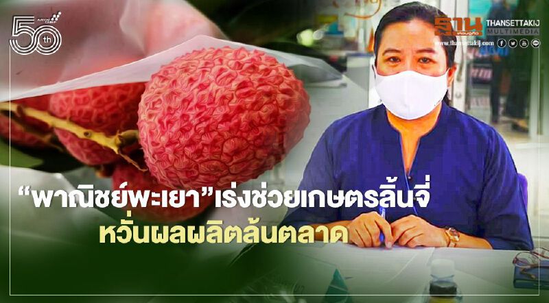 “พาณิชย์พะเยา”เร่งช่วยเกษตรลิ้นจี่  หวั่นผลผลิตล้นตลาด