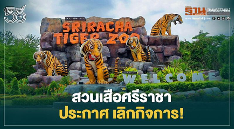 ช็อก! สวนเสือศรีราชา ประกาศเลิกกิจการ ช็อก! สวนเสือศรีราชา ประกาศเลิกกิจการ