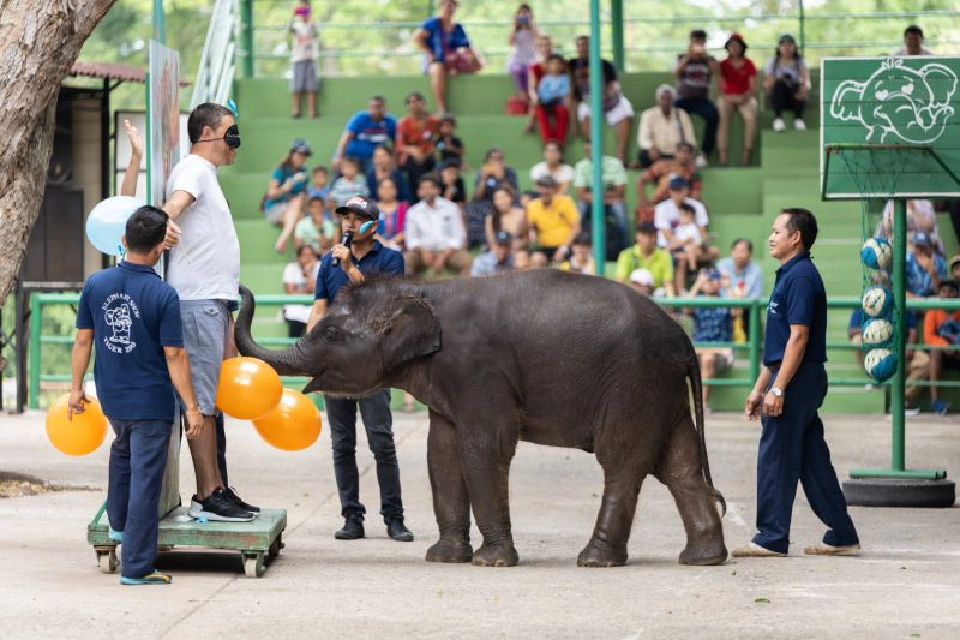ช็อก! สวนเสือศรีราชา ประกาศเลิกกิจการ 