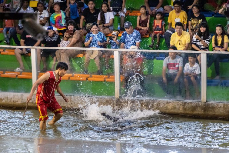 ช็อก! สวนเสือศรีราชา ประกาศเลิกกิจการ 