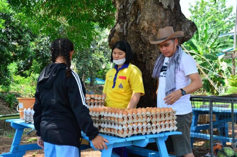 รร.เลี้ยงไก่ไข่ คลังเสบียงหนุนชุมชน ฝ่าโควิด-19