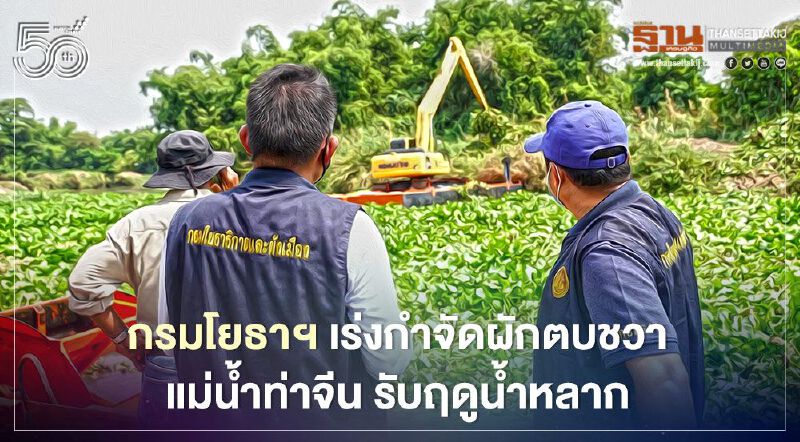 กรมโยธาฯ เร่งกำจัดผักตบชวาแม่น้ำท่าจีน รับฤดูน้ำหลาก