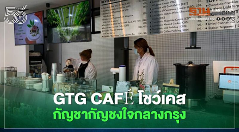 GTG CAFÉ โชว์เคสกัญชา กัญชงใจกลางกรุง GTG CAFÉ โชว์เคสกัญชา กัญชงใจกลางกรุง